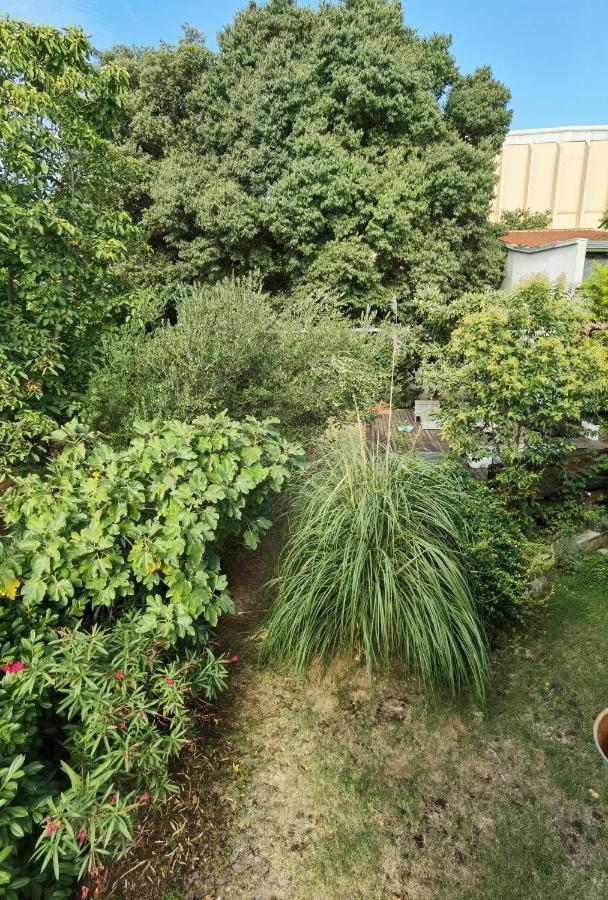 Pine And Lime Apartments PUY 외부 사진