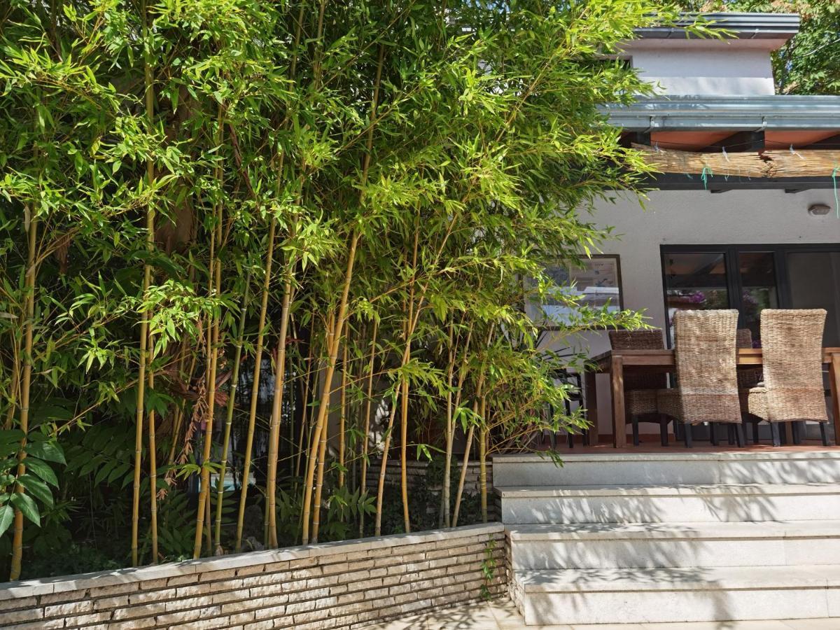 Pine And Lime Apartments PUY 외부 사진