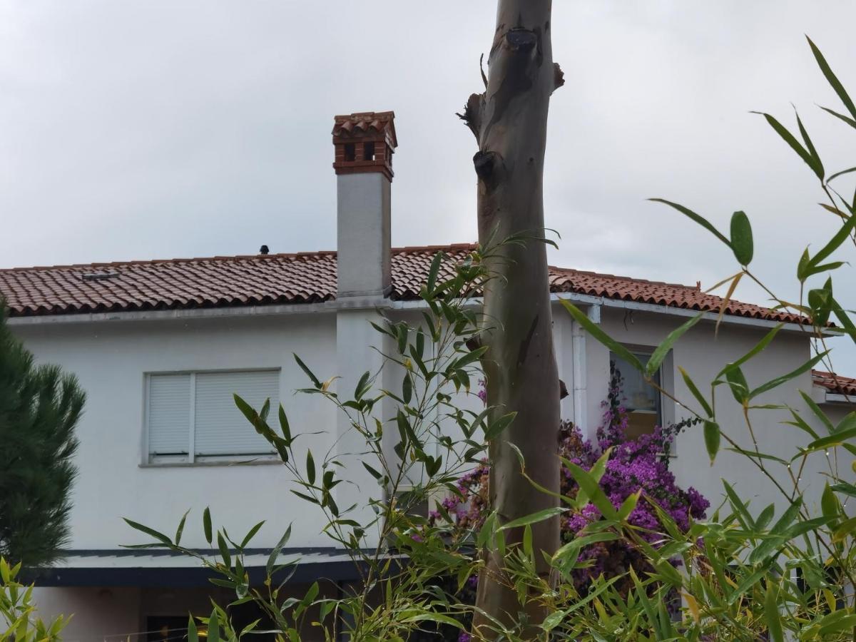 Pine And Lime Apartments PUY 외부 사진