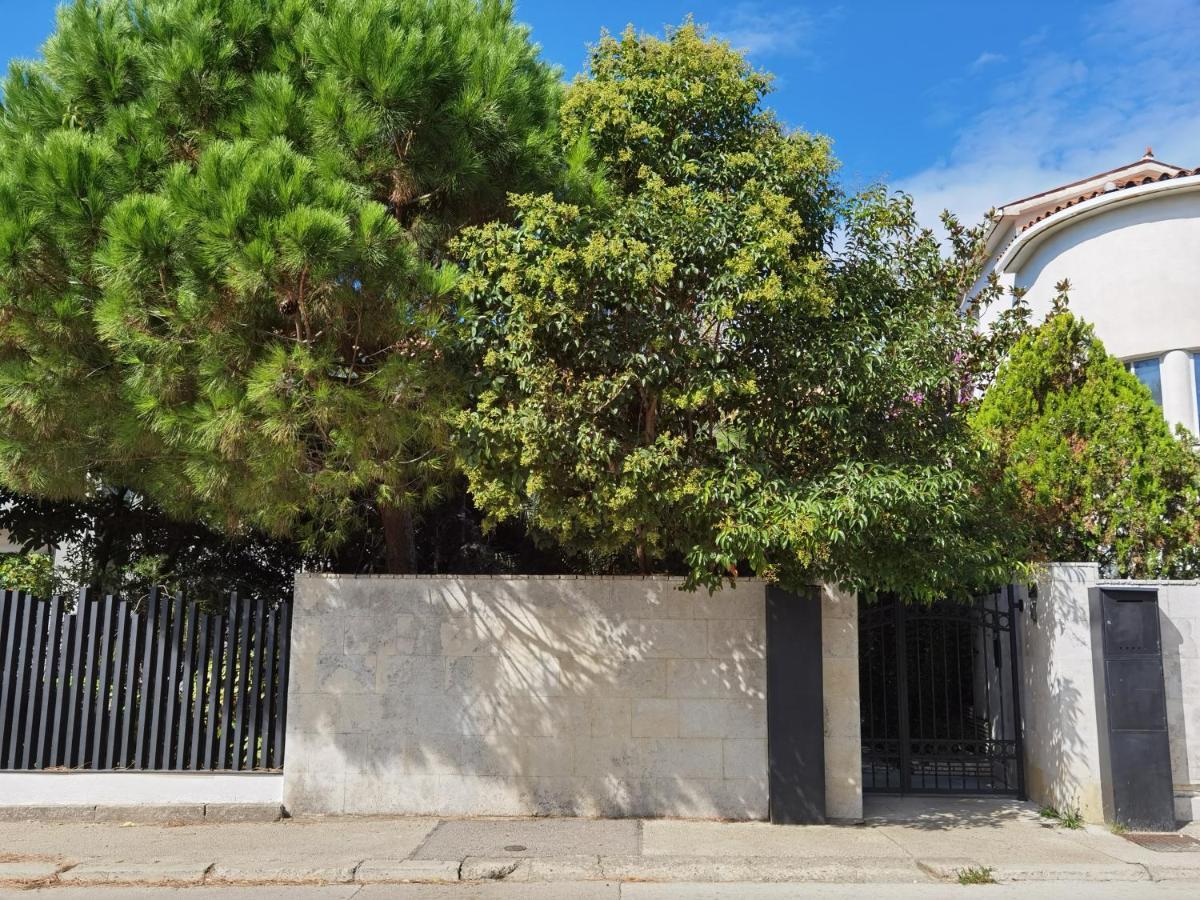 Pine And Lime Apartments PUY 외부 사진