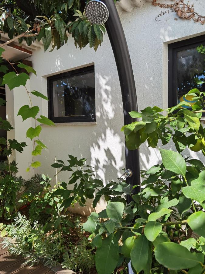 Pine And Lime Apartments PUY 외부 사진