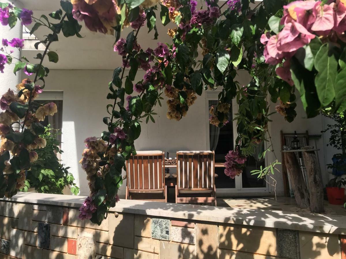 Pine And Lime Apartments PUY 외부 사진